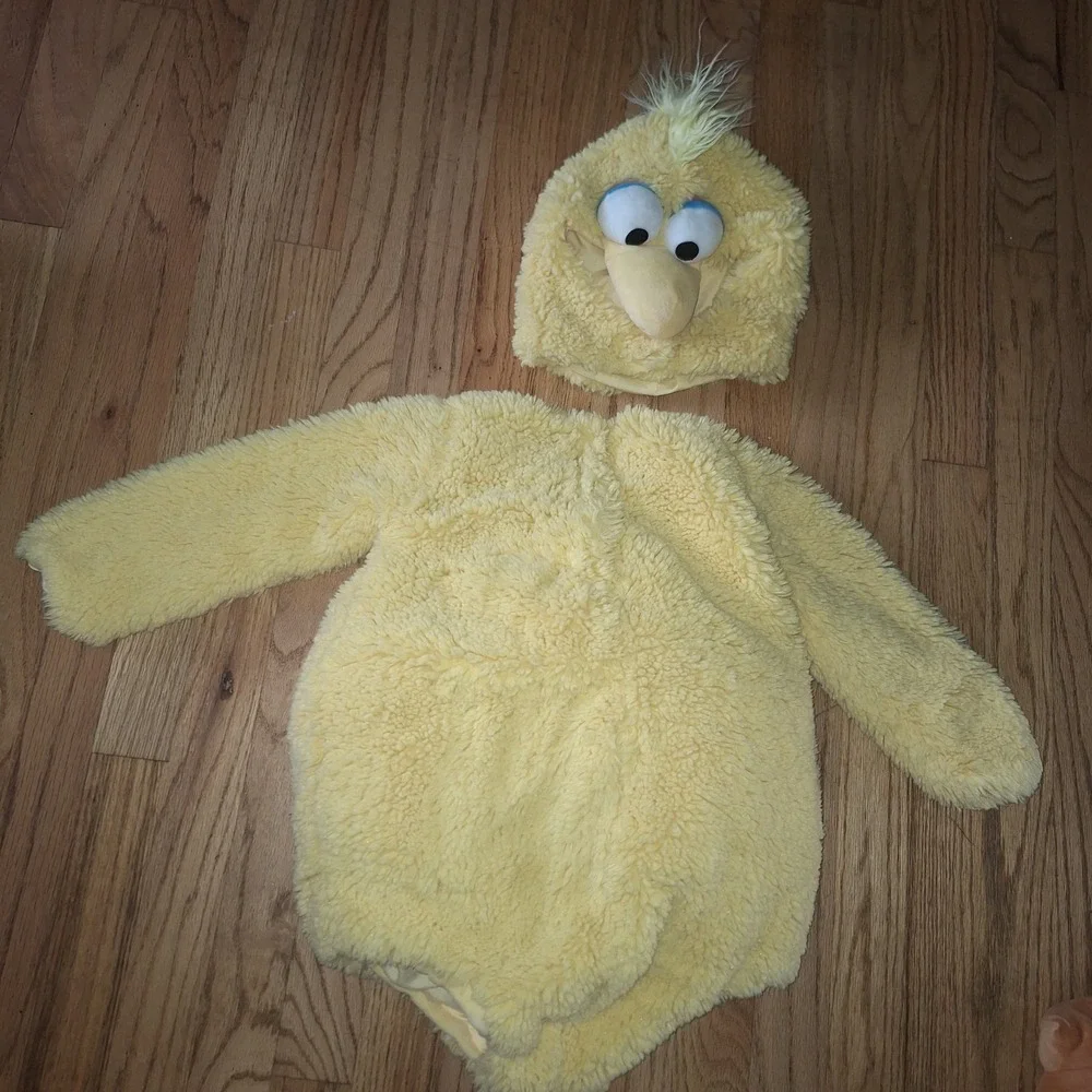Pottery Barn 2T 3T Big Bird Costume Toddler Sesame Street Halloween Birthday